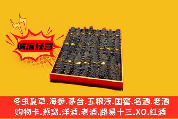 泉州惠安县回收海参